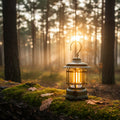Retro buitenlamp, sfeerverlichting in de avond is uiteraard een must.